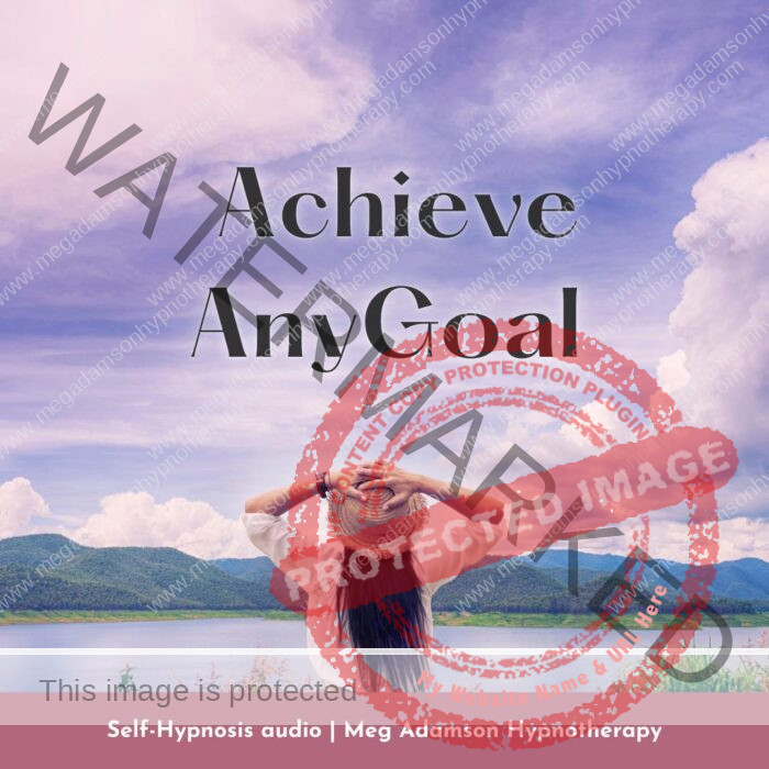 Achieve-Any-Goal